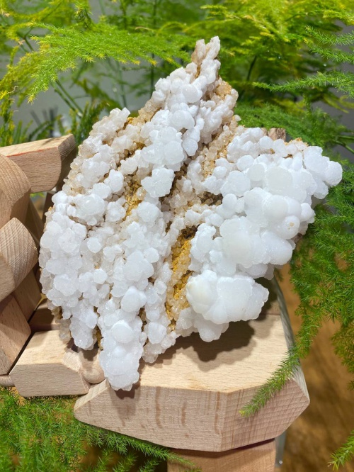 photo_2023-07-03_21-34-49