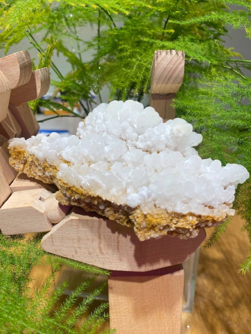 photo_2023-07-03_21-34-54